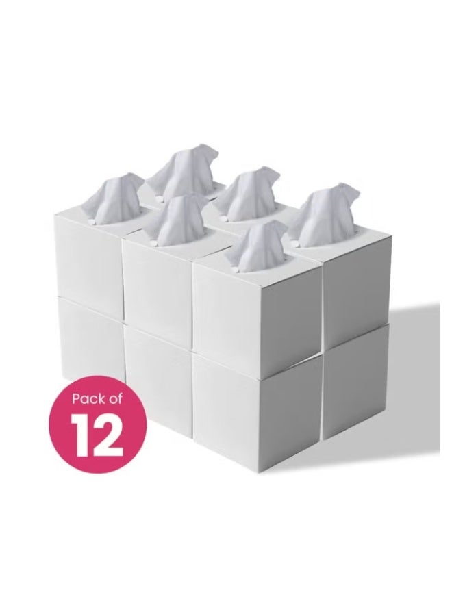 ورق مناديل للوجه من طبقتين