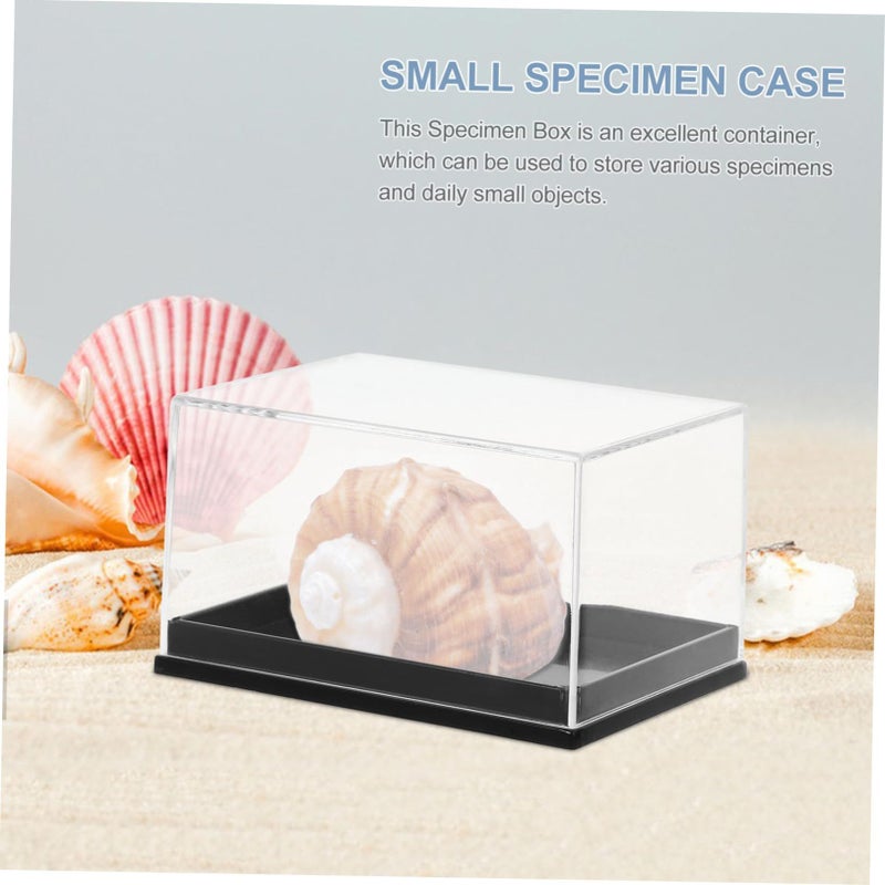 4 Pcs Mineral Specimen Storage Box Jewelry Display Case - Image 5