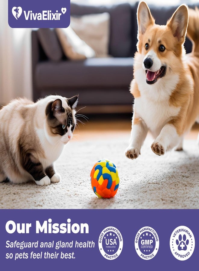 VivaElixir Anal Gland Support for Dogs - Dog Constipation Relief - Anal Gland Chew Alternative - Anal Gland Relief for Dogs, Scooting Relief & Healthy Intestinal Function - 3-Pack - Image 4