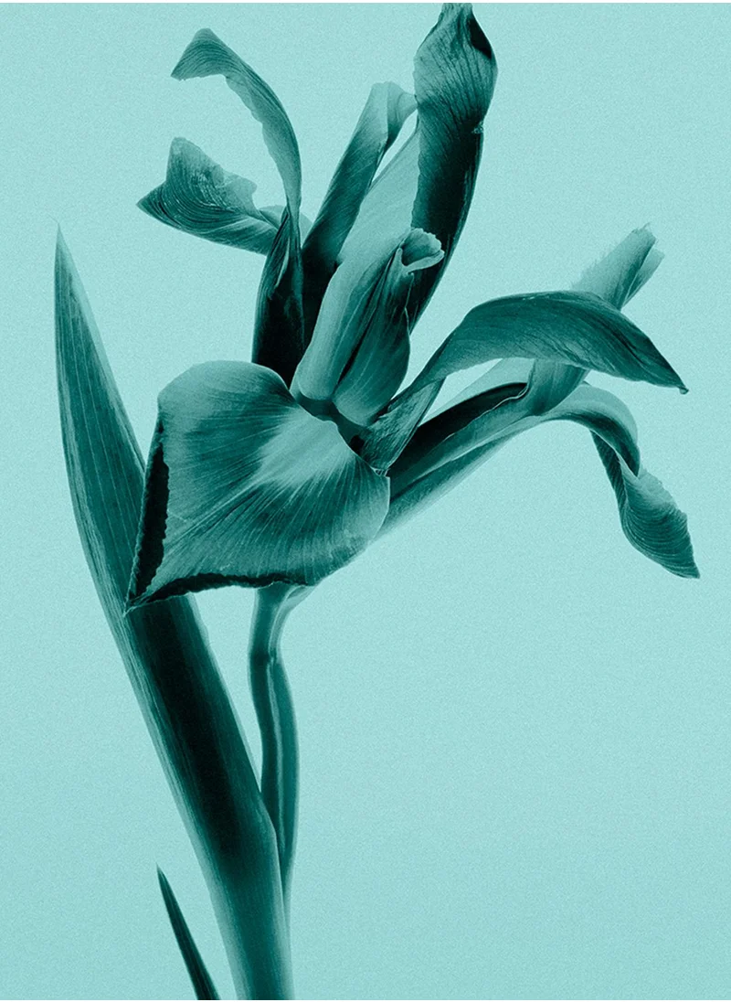 Tiffany Co Tiffany Sheer Eau De Toilette 75ml