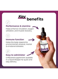 VetriScience Laboratories Vetri Dmg Liquid Drop  114Ml Bottle  Immune Support Supplements For Dogs And Cats  - Image 3