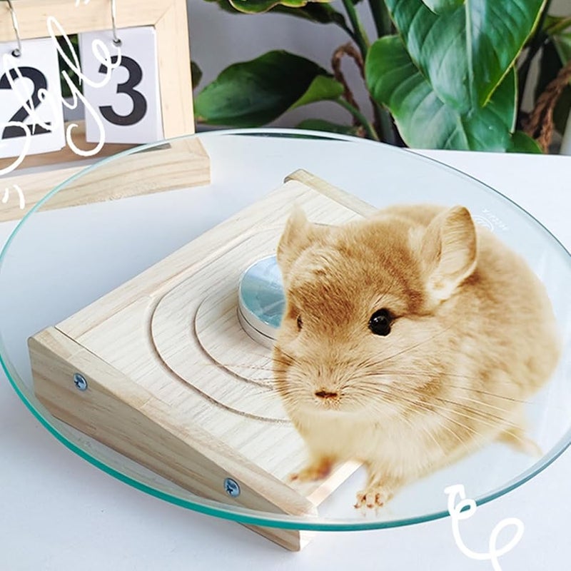 Large Silent Chinchilla Running Wheel Durable Stable Cage Toy for Hamsters Guinea Pigs - Image 3