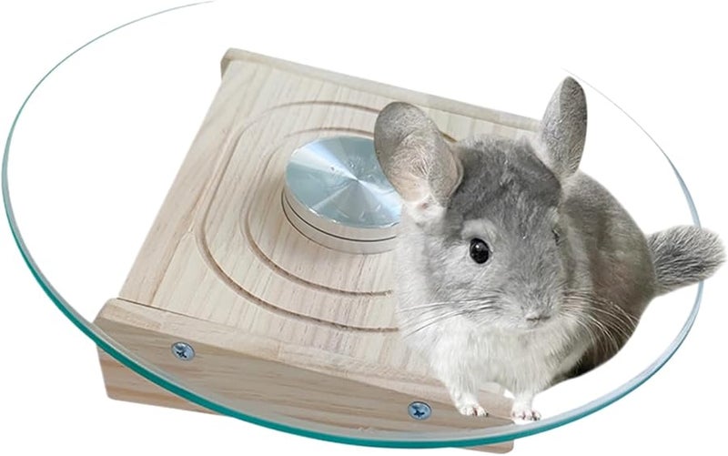 Large Silent Chinchilla Running Wheel Durable Stable Cage Toy for Hamsters Guinea Pigs - Image 1
