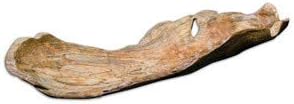Uttermost Teak  2675 inch Bowl  2675 inches wide by 975 inches deep - Image 2