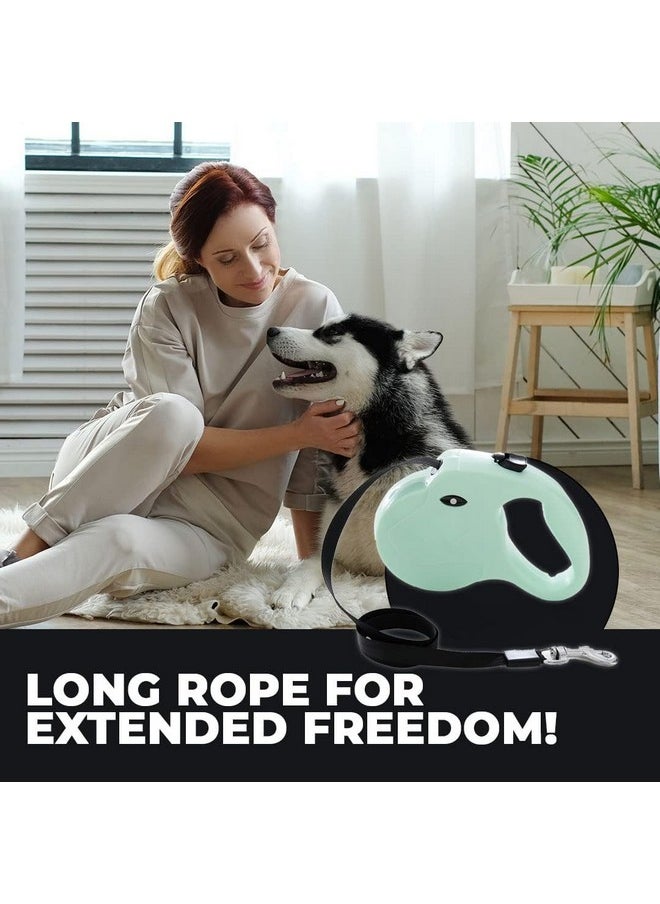 Hearts - Retractable Dog Leash|One Button Break With Safety Lock|Automatic & Non-Slip Handle|Windog-1092|Soft Padded Handle For Comfortable Grip|Pet Training & Walking Accessory|Green - Image 1