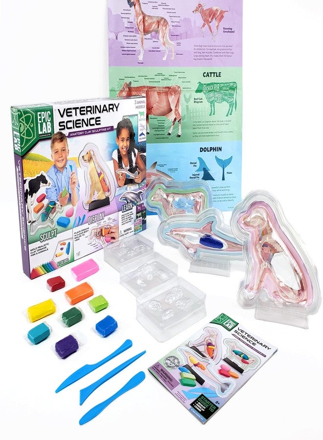 ArtSkills Epic Lab Vet Kit for Kids, Animal Anatomy Science Kit for Kids 8+ with Modeling Clay - Image 1