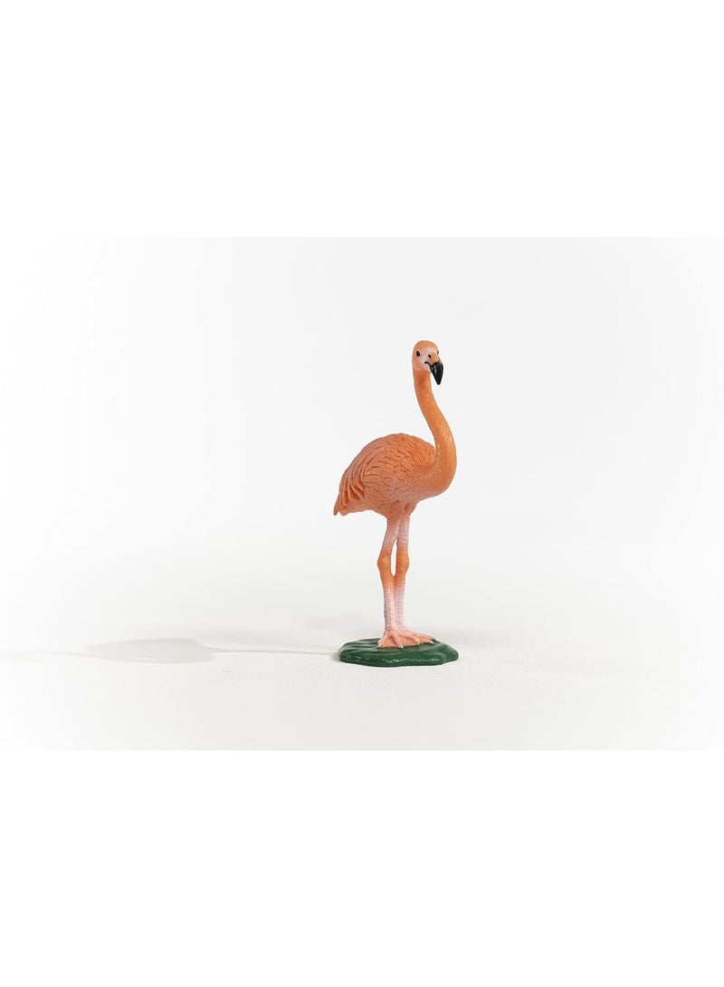 Schleich ألعاب الحيوانات البرية من شلايش، طيور للأطفال من 3 سنوات وما فوق، تمثال طائر الفلامنجو الوردي - Image 3