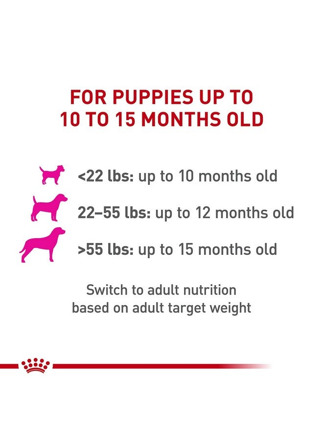 ROYAL CANIN Canine Health Nutrition Puppy Loaf In Sauce Canned Dog Food, 5.2 Oz Cans 12Pack - Image 3