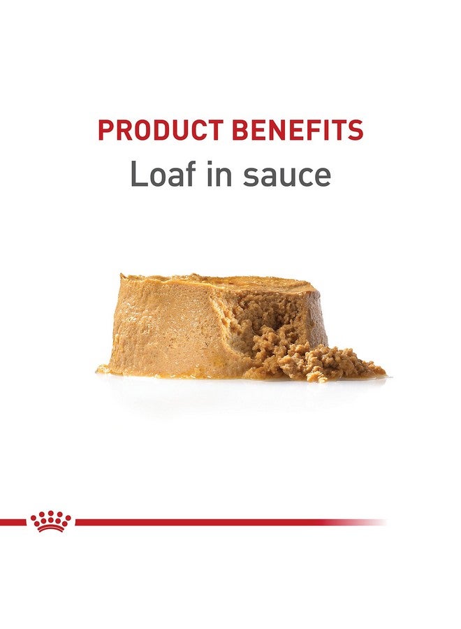 ROYAL CANIN Canine Health Nutrition Puppy Loaf In Sauce Canned Dog Food, 5.2 Oz Cans 12Pack - Image 4
