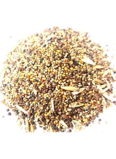 MASHKI Exclusive Seeds Mix For Budgies&Finches/16 Essential Ingredients/Multigrain Seed Oats Dry Adult, Senior, Young Bird Food (5 Kg), 1 Count  - Image 2