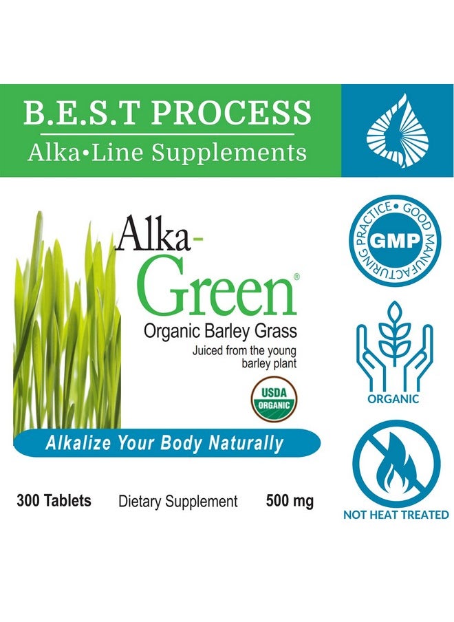 Alka•Green Tablets Best Process Alkaline Nutrient Dense Organic Barley Grass Supplement Natural Source Of Enzymes & Amino Acids - pzsku/Z0070E8DE7456A4D38360Z/45/_/1695134217/5925ff70-58b9-44cc-82a9-a8d1dc560f10