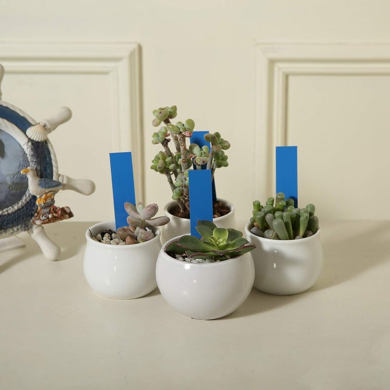 Mihey 1000 Pcs 4 Inch Garden Plant Labels, Plastic Nursery Tags Waterproof Pot Seed Markers, Blue - Image 4