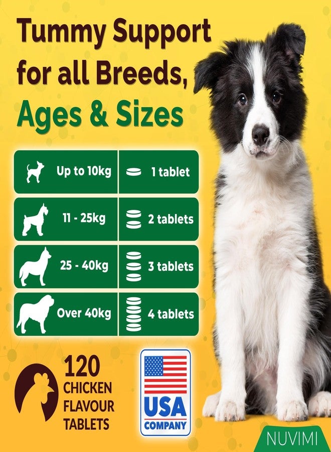 NUVIMI Probiotics for Dogs - Dog Probiotic & Prebiotic Tablets - Digestive Support Supplement for Gut Health, Tummy Relief, Itching, Diarrhea, Allergies, Bad Breath - 120 Chicken Flavor - Image 5