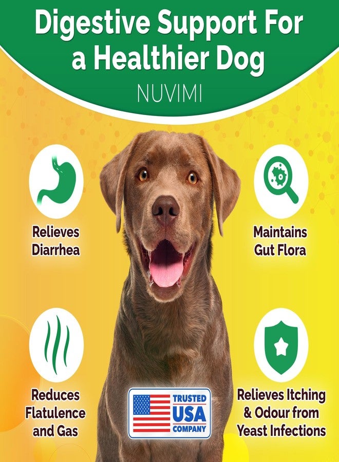 NUVIMI Probiotics for Dogs - Dog Probiotic & Prebiotic Tablets - Digestive Support Supplement for Gut Health, Tummy Relief, Itching, Diarrhea, Allergies, Bad Breath - 120 Chicken Flavor - Image 3