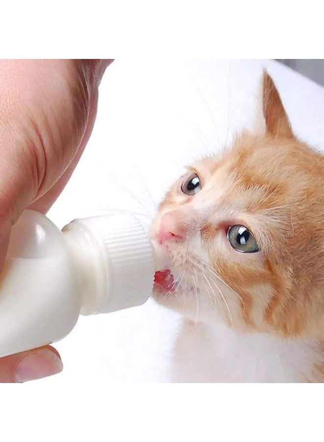 RvPaws Puppy Milk Bottle Pet Kitten Baby Animal Feeding Bottle Nursing Set (150 ml) - Image 2