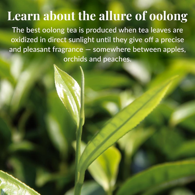 The Republic of Tea Dragon Oolong Tea - Image 5