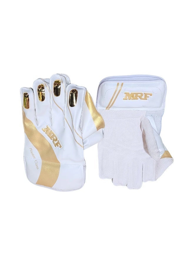 MRF Master Class / Warrior Gold Cricket Wicket Keeping Gloves - Image 1