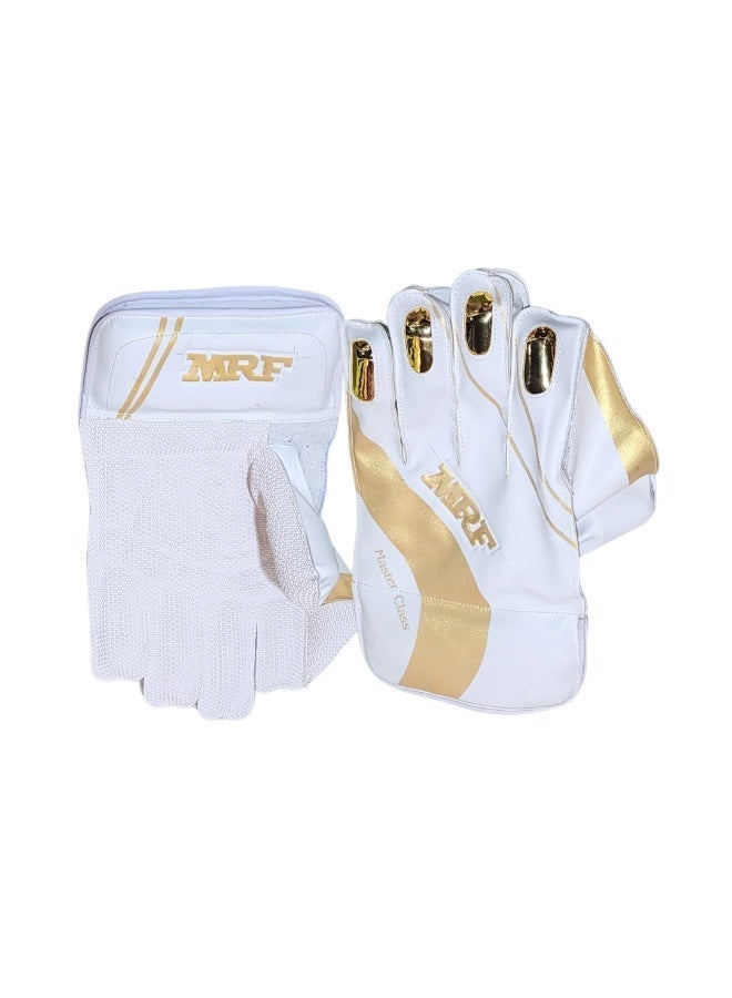 MRF Master Class / Warrior Gold Cricket Wicket Keeping Gloves - Image 4