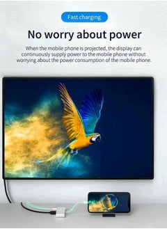 Generic Lightning To HDMI Adapter (Apple MFi Certified), Plug & Play 1080P Screen Converter with Lightning Charging Port, iPhone to HDMI Adapter for Projector/Monitor/TV, Compatible with iOS Devices  - Image 3