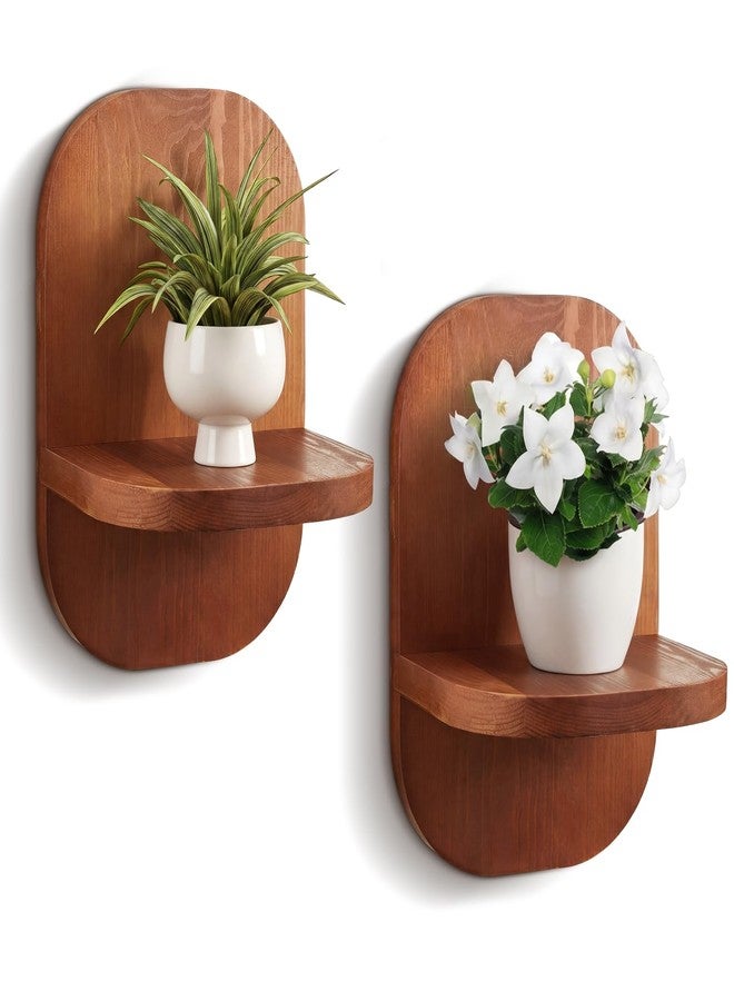 AceOrbit 2 Pack Wooden Wall Mounted Plant Holder, Wall Hanging Plant Holders for Indoor Plants Flower Pot Hanging Shelves for Bedroom Living Room Porch Balcony Outdoor Decor - Image 1