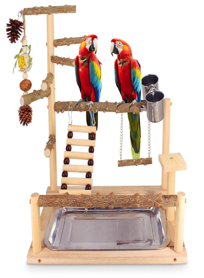 Autokcan Bird Playground Natural Parrot Toys Perch Stand Cockatiel Swing with Chew Toys Parrot Platform with Feeder Cups Parakeet Playground Bird Cage Play Stand for Conure Parakeet Cockatiel - Image 1