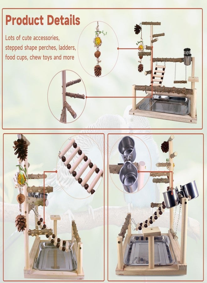 Autokcan Bird Playground Natural Parrot Toys Perch Stand Cockatiel Swing with Chew Toys Parrot Platform with Feeder Cups Parakeet Playground Bird Cage Play Stand for Conure Parakeet Cockatiel - Image 2