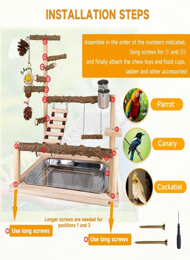 Autokcan Bird Playground Natural Parrot Toys Perch Stand Cockatiel Swing with Chew Toys Parrot Platform with Feeder Cups Parakeet Playground Bird Cage Play Stand for Conure Parakeet Cockatiel - Image 4