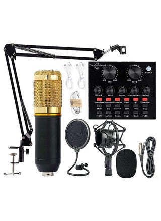 Condenser Microphone Kit With Live V8 Sound Card And Adjustable Mic Suspension Scissor Arm - pzsku/Z00782CE2238FF2FF5452Z/45/_/1720802043/d8c54771-d784-46b7-b6a7-ea639293ff55