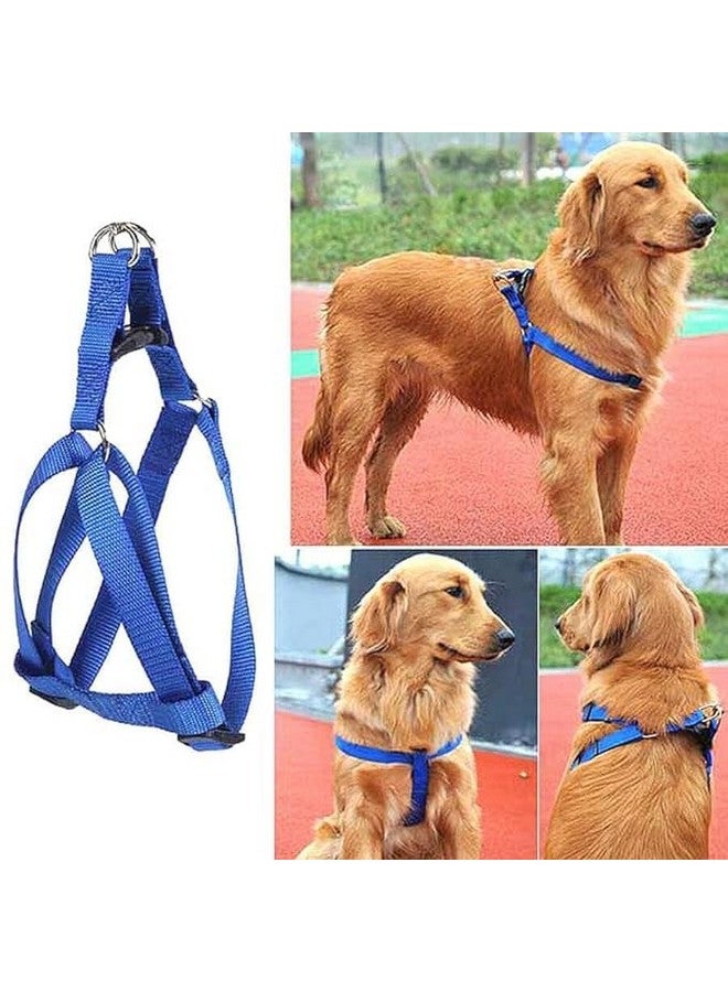 15 Mm Nylon Leash With Harness 0.5 Inch Adjustable Nylon Harness Set Suitable For Training/Walking Small Breed Dog And Puppies (Blue) - Image 2