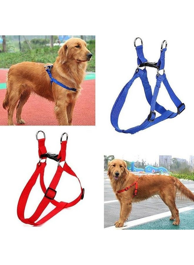 15 Mm Nylon Leash With Harness 0.5 Inch Adjustable Nylon Harness Set Suitable For Training/Walking Small Breed Dog And Puppies (Blue) - Image 3