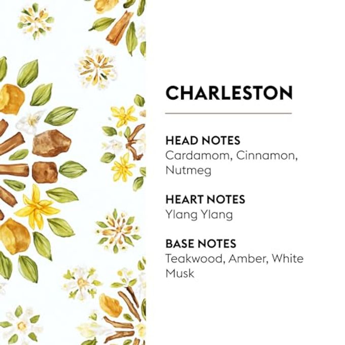 Maison Berger Charleston Lampe Berger Fragrance Refill for Home Fragrance Oil Diffuser 33.8 Fluid Ounces 1 Liter - Image 2