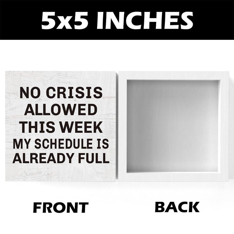 Zopedia Boss's Day Gifts Funny Boss Gifts for Women Men Boss Lady Manager Coworker Funny Home Office Desk Decor No Crisis Allowed This Week Sign 5 X 5 Inch - Image 2