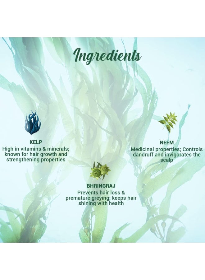 Biotique Ocean Kelp Anti Hairfall Shampoo Growth Therapy Shine 100% Botanical Extracts All Hair Types 340ml - Image 4