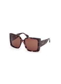 MaxMara Oversized Sunglasses  - Image 1
