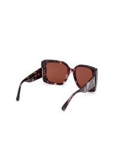 MaxMara Oversized Sunglasses  - Image 5