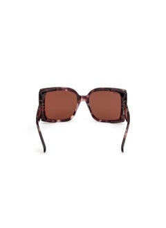 MaxMara Oversized Sunglasses  - Image 4