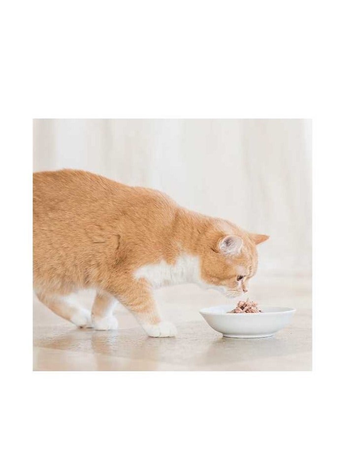 Schesir Cat Multipack Can Tuna With Seabream-6x50g - Image 4