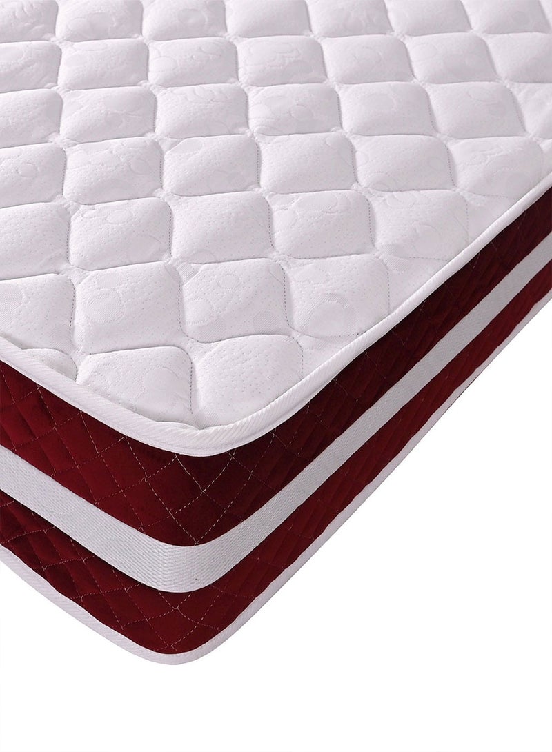 فاميلي بيد مرتبة فلورنس سوست منفصلة مقاس 110×190×25 سم من فاميلي بد - Image 4