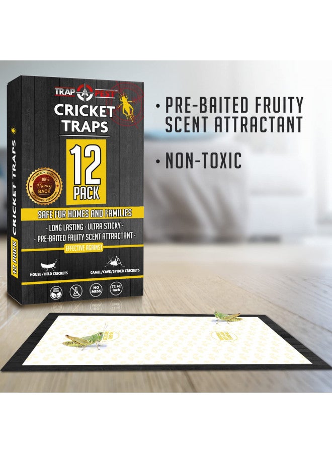 TRAP A PEST مصائد الكريكيت الداخلية (12 مصيدة) مصائد لزجة كبيرة الحجم - مصائد لزجة غير سامة للحشرات - مصيدة كريكيت داخلية مع رائحة فواكه مسبقة الطعم - مصائد لزجة للحشرات - اصطياد الآفات - Image 2