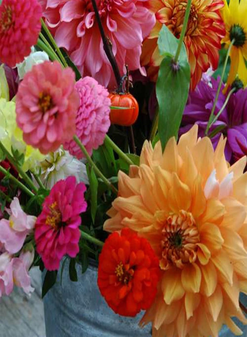 جي جوت 500 قطعة من بذور الزهور المختلطة سهلة النمو، نباتات الزينة سهلة العناية، شتلات زهور الداليا، هدايا البستنة للنساء والرجال - بذور - Image 5