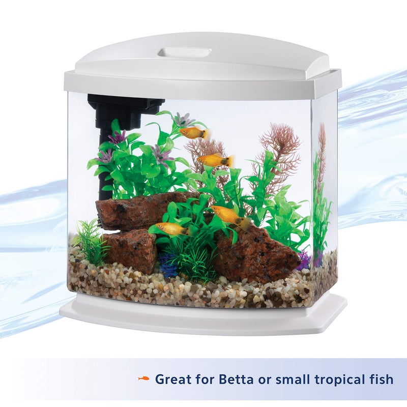 Aqueon LED MiniBow Aquarium Kit with SmartClean Technology, White, 2.5 Gallon - Image 4