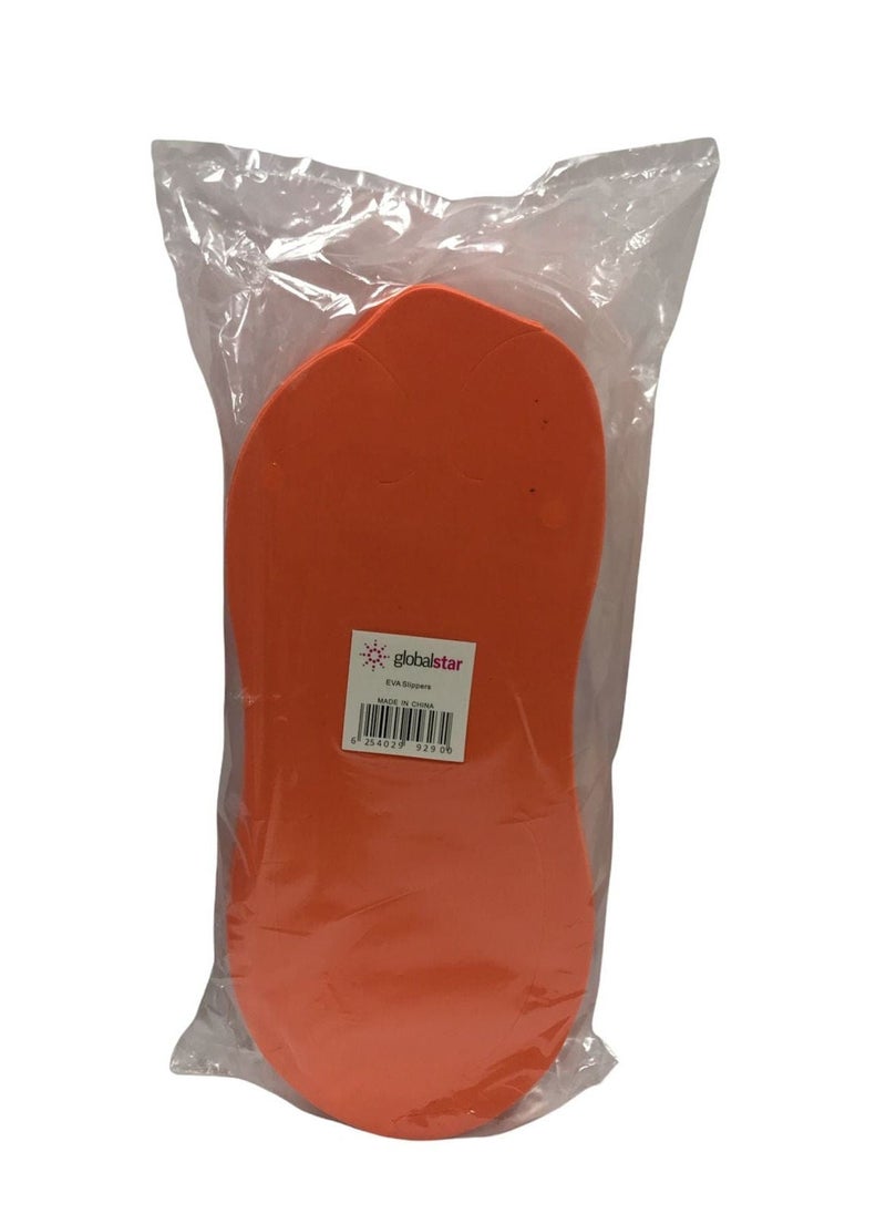 globalstar Disposable Slipper 10 Pairs Random Color 