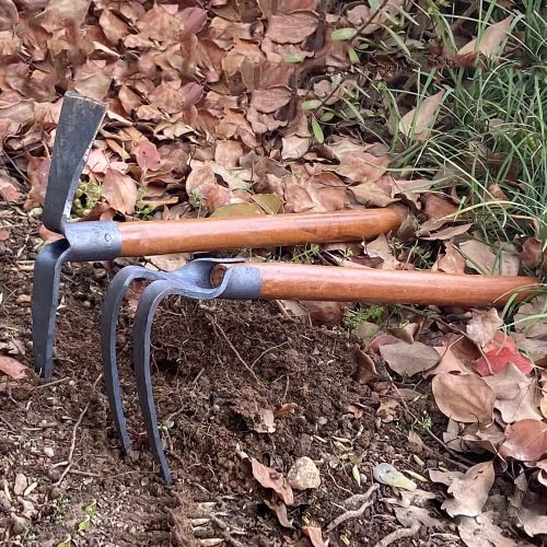 ChengHao 2PCS 19.6 Inches Garden Pick, 2 Prong Hand Hoe Tool Set Garden Tool with Wooden Handle, Transplanting Digging Planting Loose Soil Camping or Prospecting - Image 5