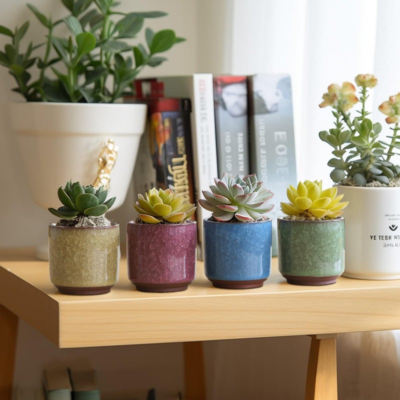 T4U 2.5 Inch Small Ceramic Succulent Planter Pot with Drainage Hole Set of 6, Ice Crack Glaze Plant Container for Cactus, Succulent Plant Gifts for Women Mom Aunt Home Office Decor - Image 3