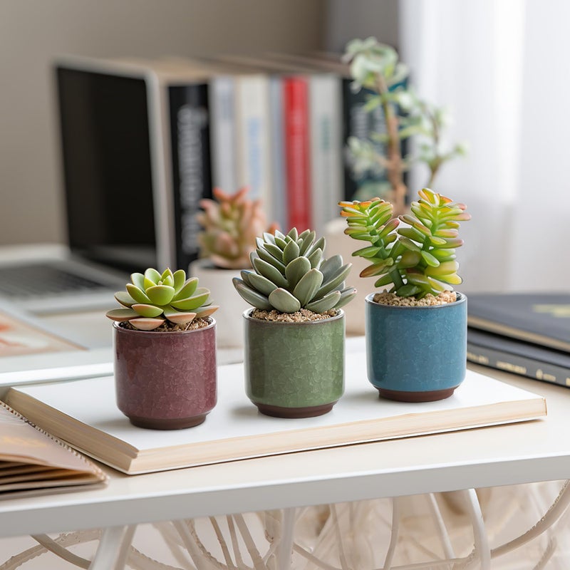 T4U 2.5 Inch Small Ceramic Succulent Planter Pot with Drainage Hole Set of 6, Ice Crack Glaze Plant Container for Cactus, Succulent Plant Gifts for Women Mom Aunt Home Office Decor - Image 4