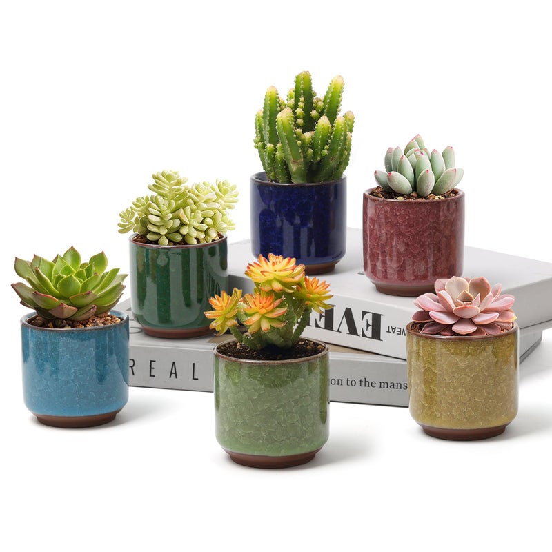 T4U 2.5 Inch Small Ceramic Succulent Planter Pot with Drainage Hole Set of 6, Ice Crack Glaze Plant Container for Cactus, Succulent Plant Gifts for Women Mom Aunt Home Office Decor - Image 1