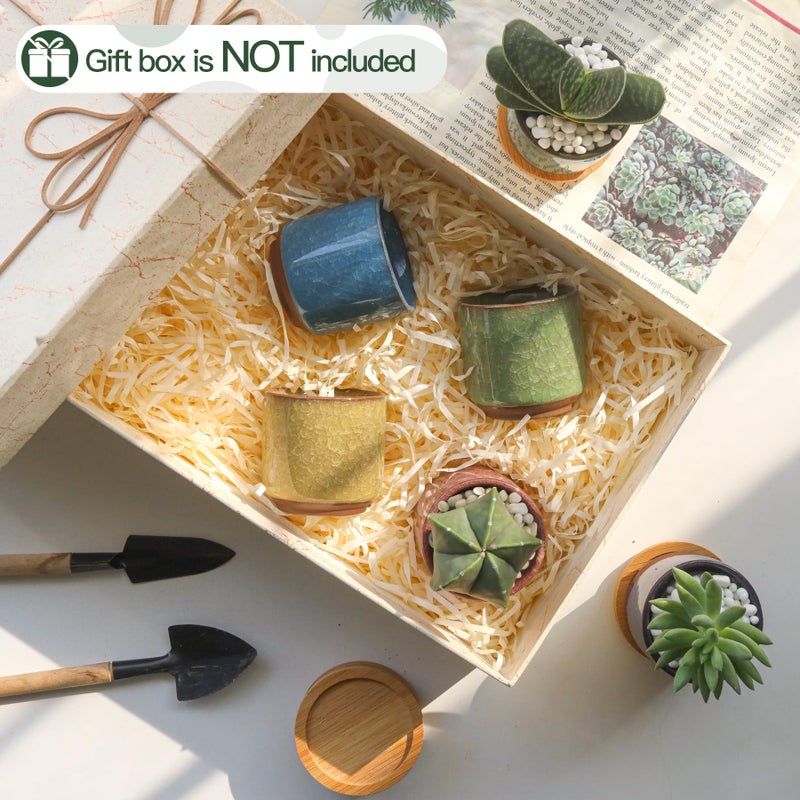 T4U 2.5 Inch Small Ceramic Succulent Planter Pot with Drainage Hole Set of 6, Ice Crack Glaze Plant Container for Cactus, Succulent Plant Gifts for Women Mom Aunt Home Office Decor - Image 5