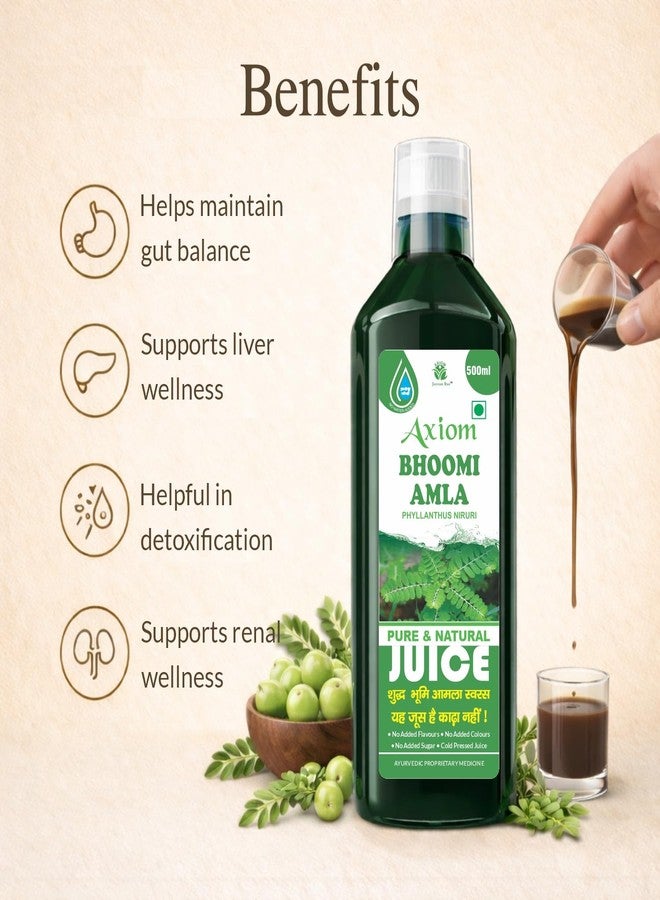 Axiom Ayurveda Bhoomi Amla Juice - 500 ml | Natural liver detoxifier | Strengthens the digestive system | Rich Supplement with Pure Bhumi Amla Herbs - Image 3