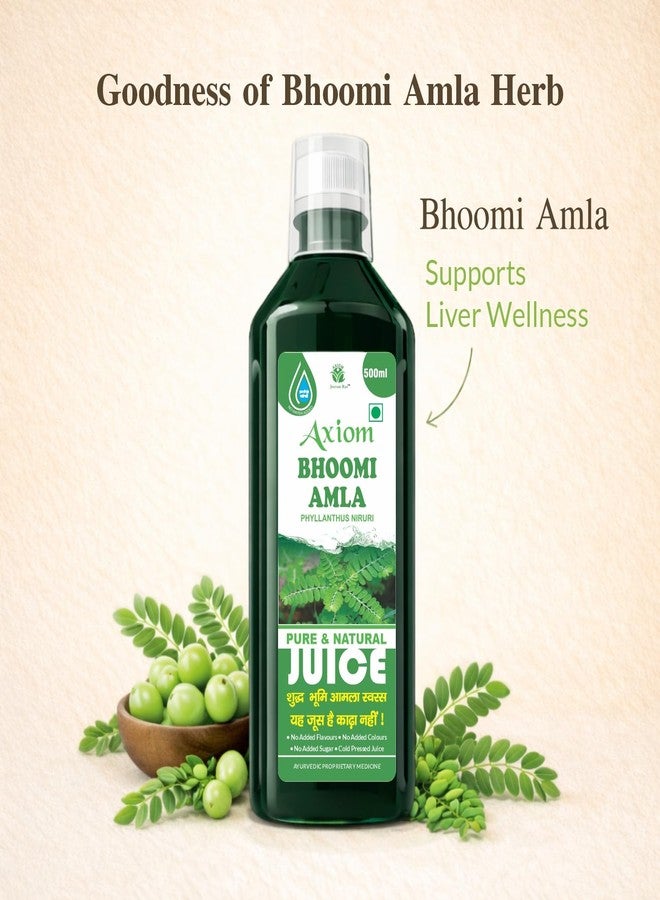 Axiom Ayurveda Bhoomi Amla Juice - 500 ml | Natural liver detoxifier | Strengthens the digestive system | Rich Supplement with Pure Bhumi Amla Herbs - Image 2