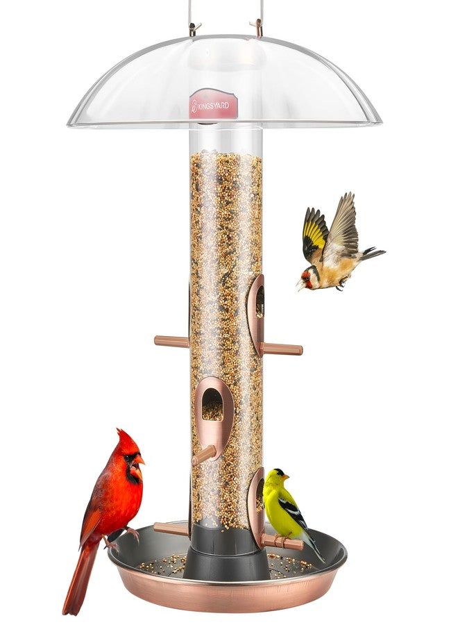 Kingsyard مغذيات طيور معدنية من Kingsyard للتعليق في الهواء الطلق، مغذي طيور من نوع Finch مع صينية قابلة للإزالة وقبة مقاومة للعوامل الجوية، سعة 2 رطل من البذور (نحاس عتيق) - Image 1